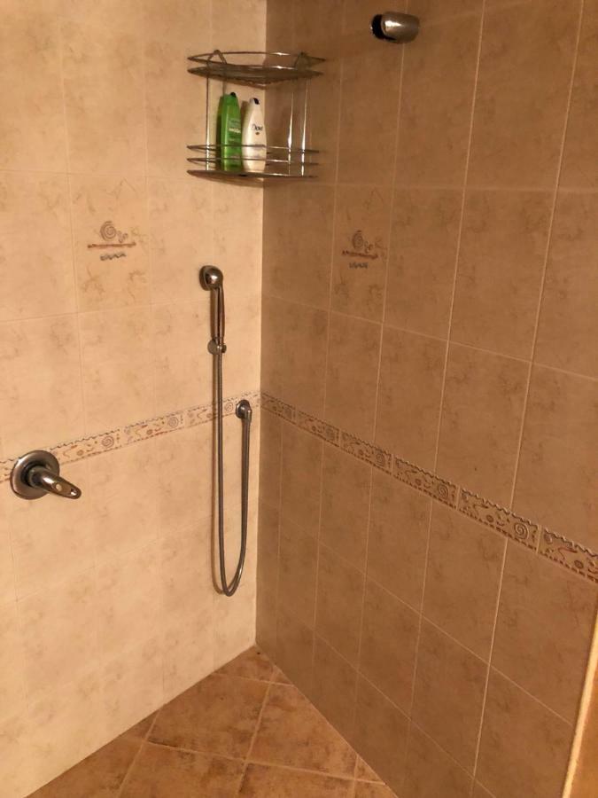 Ambrozia Spa And Relax Family House 巴奇科伏 外观 照片